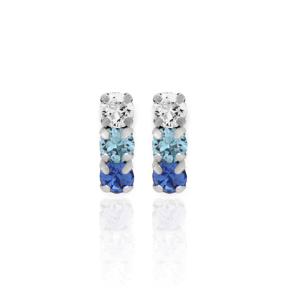 სურათი VICTORIA CRUZ Silver Earrings Celine Minis