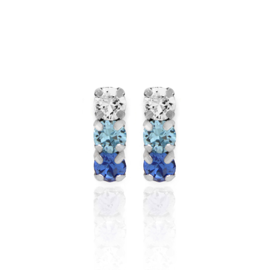 Picture of VICTORIA CRUZ Silver Earrings Celine Minis