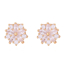 სურათი Brass Earrings with Silver Pin, Zirconia, Gold Plated